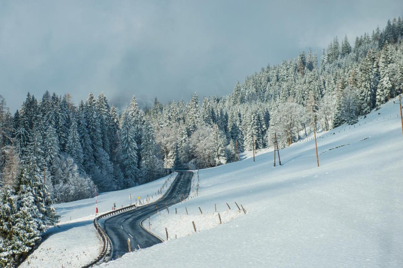 הוילה Mühlbach am Hochkönig Ferienbauernhof Elmaugut מראה חיצוני תמונה