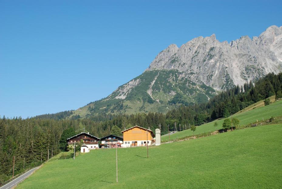 הוילה Mühlbach am Hochkönig Ferienbauernhof Elmaugut מראה חיצוני תמונה