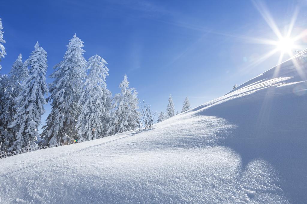 הוילה Mühlbach am Hochkönig Ferienbauernhof Elmaugut מראה חיצוני תמונה